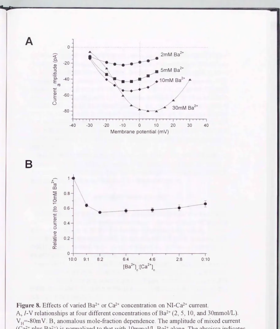 Figure  8.  Effects  of  varied Ba2+ or  Ca2+  concenむation on N1-Ca2+ current. 