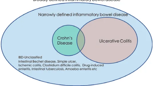 Figure 1 Definition of IBD. 
