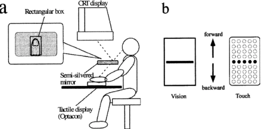Figure 1. (a) A diagrammatic illustration  of   the  experimental  apparatus  and  stimuli,   Ihe visual  stimulus was generated on a