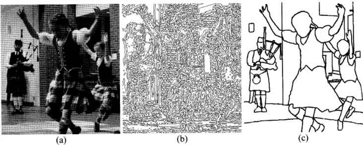 Figure 1. Natural images, such as the one shown in (a) are collections of many regions o