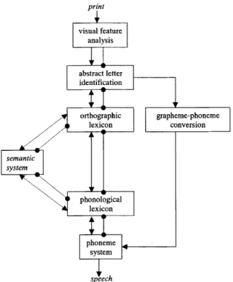 Figure 1. The DRC mode] of visual word recogni-