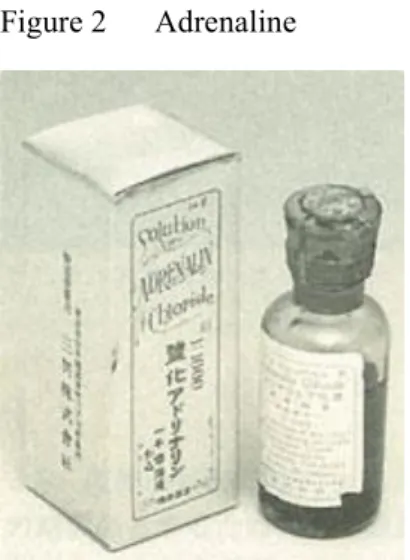 Figure 2   Adrenaline 