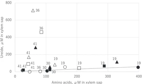 Figure 3. Relations in the concentrations of amino acids and ureide in xylem saps from plants of the three genotypes during  plant growth. 