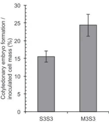 Fig. 1.  Effects of carbohydrate source and amino acids on  Tanbaguro somatic embryo maturation.