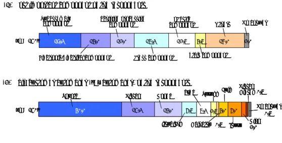 Figure 5: Outline of Component Transactions (1)