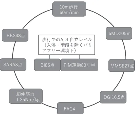 図 5 歩行での ADL 自立に対する相互関係の例（BI85 点相当）