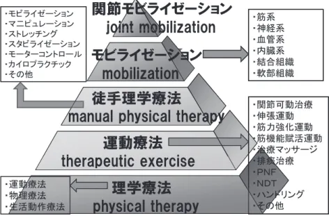 図 2 徒手理学療法 MPT の多様性