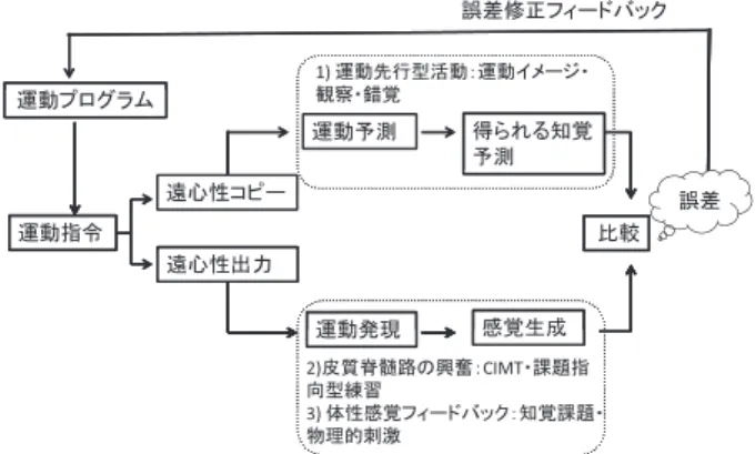 図　 神経科学に基づいた脳損傷後の運動障害に対する臨床 手続き