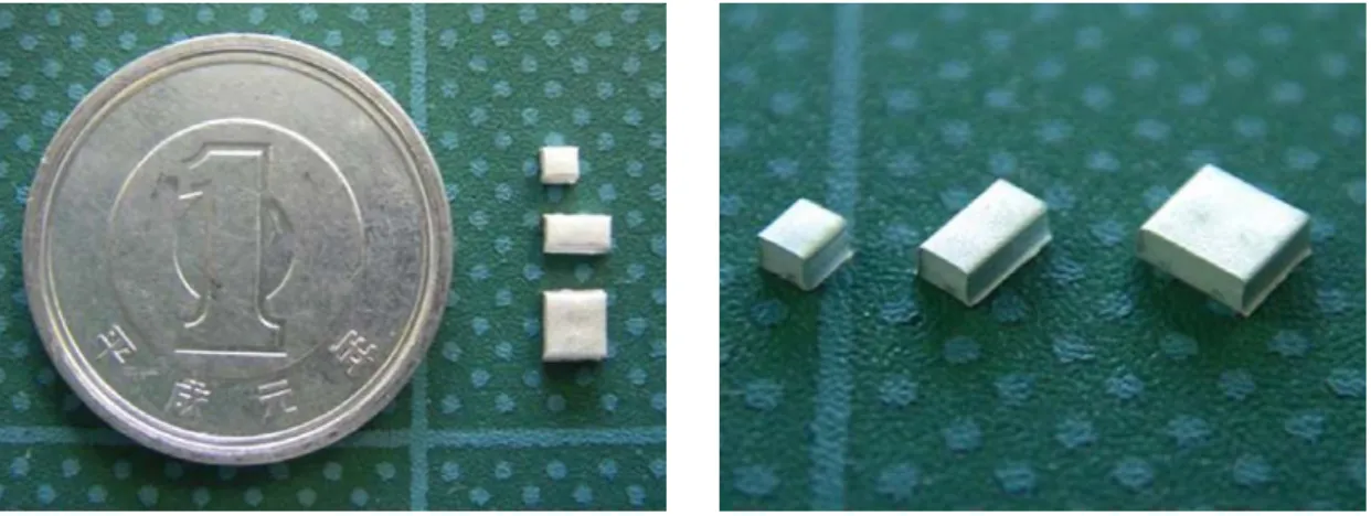 図 2-12 LTCC 技術を用いて作製した積層 CRLH 伝送線路