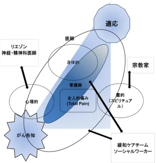 Figure 0-1  がん告知後の患者が適応に至るまでのと医療者との関係 