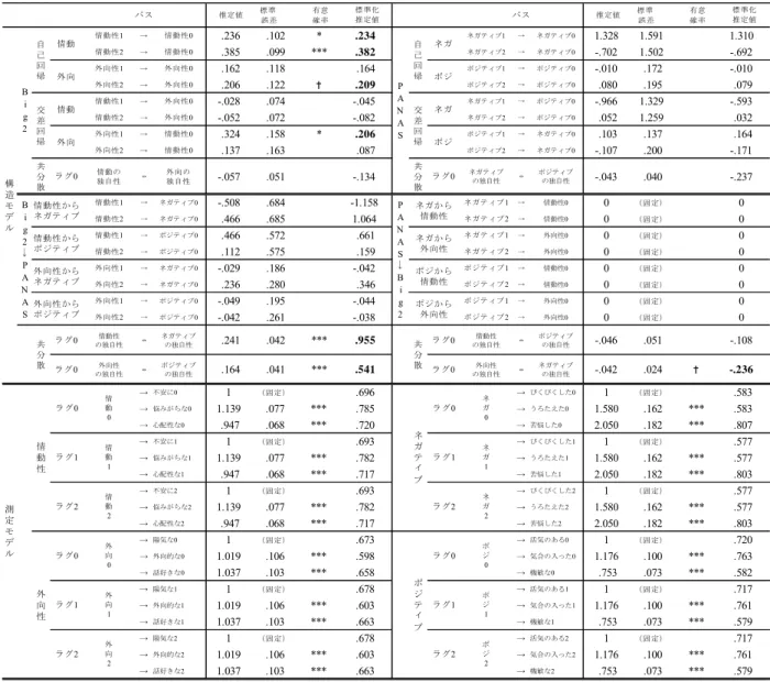 表 5.19 参加者 A の Big 2 と PANAS を結合した個別 DFA 