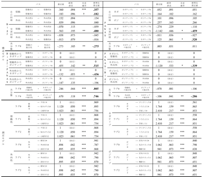 表 5.20 参加者 C の Big 2 と PANAS を結合した個別 DFA 