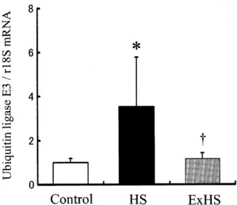 図 1 　 ユ ビ キ チ ン リ ガ ー ゼ （ Ubiquitin 　 ligase ） E3 　mRNA の 変 化 　 萎 縮 筋 （ HS ） で は ユ ビ キ チ ン リ ガ ー ゼ E3 　 mRNA が 増加 し ， 筋 タ ン パ ク 質 分 解系 の 活 性 化 が 促 進 さ れ て い る ． プ レ コ ン デ ィ シ ョ ニ ン グ 筋 （ ExHS ＞ で は ユ ビ キ チ ン リ ガ ー ゼ E3 　 mRNA が 抑 制 さ れ て ， 筋 タ ン パ ク 質 分 解 