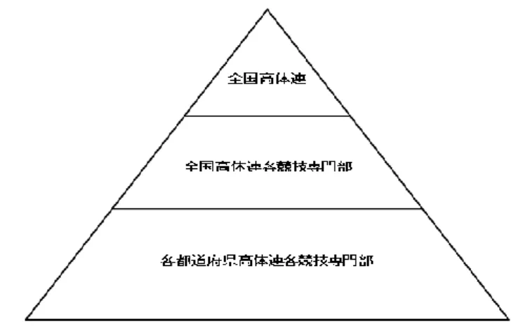 図 7  全国高体連組織の階層構造（競技専門部のみに特化）  第 3 項  インタビュー調査の内容  下記の内容について，調査対象者の反応から選択し，半構造化インタビュー法により， 聞き取り調査を行う．  1．1993 年からのインターハイへの協賛金の導入について  ・ この時期の高体連での役割等について  1）協賛金の導入したことについて  ・  1993 年の栃木インターハイで 2 億円の協賛金が導入された．全国高体連組織の対 応として協賛金を導入したことについて  ・  開催場所の確保や競技役員，審判