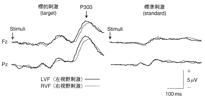 図 形 認 知 の 右 大 脳 半 球 優 位 性 3 Fz 標 的刺激（ target） P300　↓ 標準 刺激（ standard ）Stimuli↓ 一 Pz LVF （ 左 視野 刺激 ＞ RVF （ 右 視 野 刺激 ） 一 ， ． ． ． ， ．一 一 ． ． ・ vXM ’1− ・ Wh ・ … 　 　 　 　 　 　 　 　 　 　 　 　 」墾 　 　 　 　 　 　 　 　 　 　 　 　 100ms 図 1　 事 象 関 連 電 位 grand 　 averagC 波 形 （ 被 験