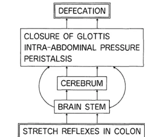Fig. 7. Change in the constipated condition of          children younger than 1 year in 
