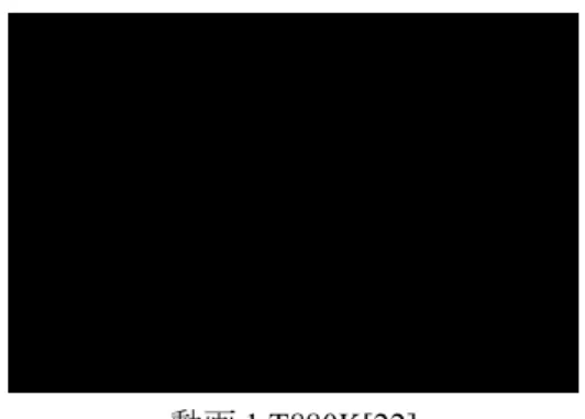 図 .6 SLS 構造の初期配置から出発して得られたポテ