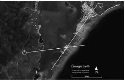 図 27  概略的立体図範囲を作成したライントランゼクト①と②の位置関係 出所：Google Earth Pro．