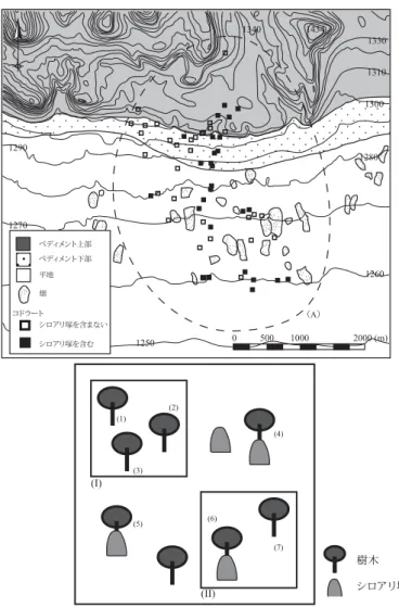 図 2 調査地に設置したコドラートの分布（上図）と樹木調査の模式図（下図） （上図） * コドラートの大きさは図に反映されていない． * 上図中の点線（A）はシロアリ塚を GPS でプロットした約 10 km 2 の範囲を示す． （下図） *（Ⅰ）はシロアリ塚を含まないコドラート， （Ⅱ）はシロアリ塚を含むコドラートを示す． *  樹木を分析する際，「シロアリ塚に出現した樹木」は（4） （5） （6）を対象とし， 「シロ アリ塚の近くに出現した樹木（Near） 」は（7） ， 「シロアリ塚から離れた場所に出