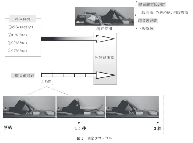 図 2　測定プロトコル 図 3　腹横筋測定部位 上図は体幹を右側方より観察． （a）肋骨辺縁（b）腸骨稜（c）右中腋窩線（d）腹横筋測定 部位を示す． 図 4　腹横筋筋厚測定範囲