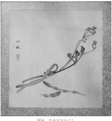 図 8 　ワラビとつくし