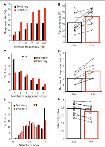 FIGURE 3  |  Response properties of excitatory and inhibitory cells. The  following three response properties are shown: the percentage of responsive  cells (A,B), the number of responded stimuli (C,D), and the selectivity index  (E,F)