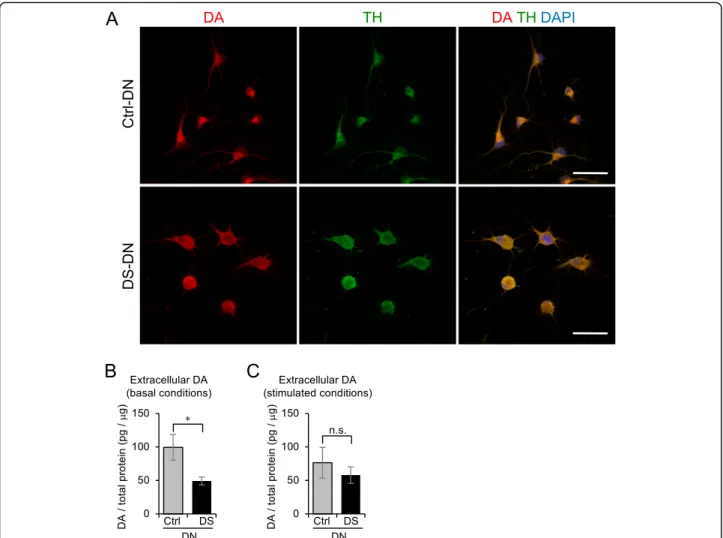 Fig. 3 Altered DA secretion in DS-DN. a DA expression in Ctrl- and DS-DN cells was observed by immunofluorescence microscopy