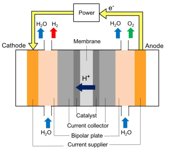 Figure 1.3 PEM 形水電解セルの模式図 