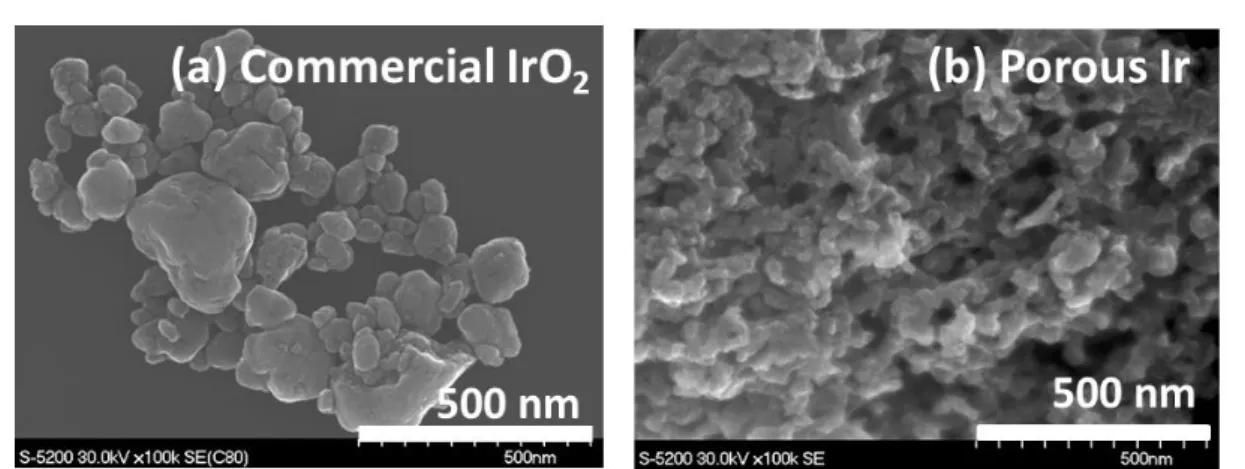 Figure 3.15 (a)市販 IrO 2 と(b)ポーラス Ir の SEM 観察像 