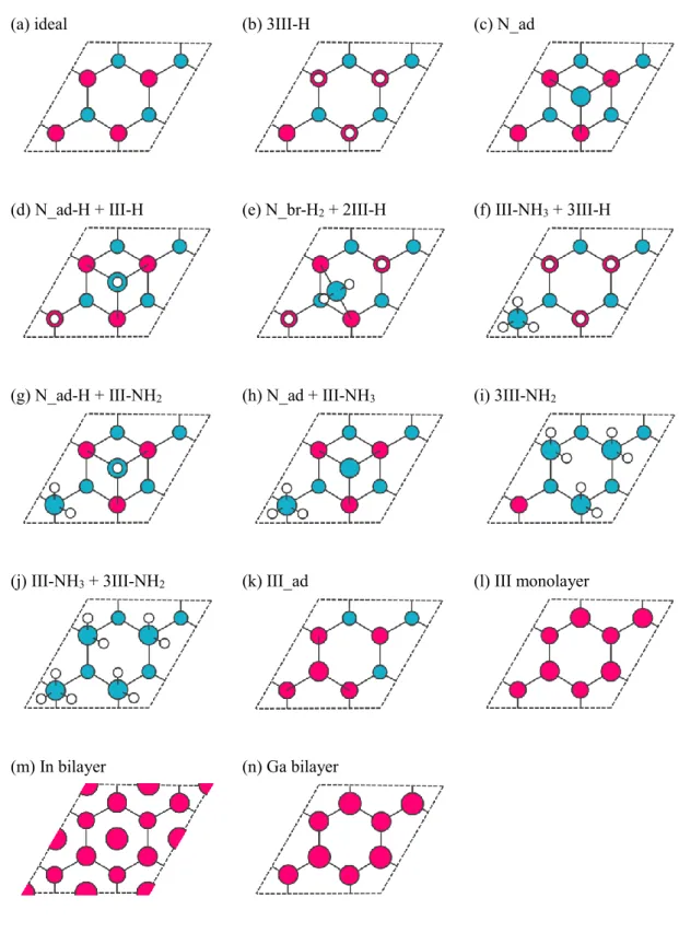 図 2.4  本研究で考慮する(0001)表面構造の候補（赤： III ，青： N ，白： H ） ．  