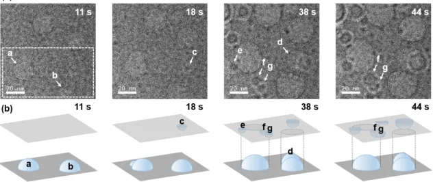 Figure 2.12 (a, b) Images of the time evolution of bubble nucleation on the top and bottom Si 3 N 4