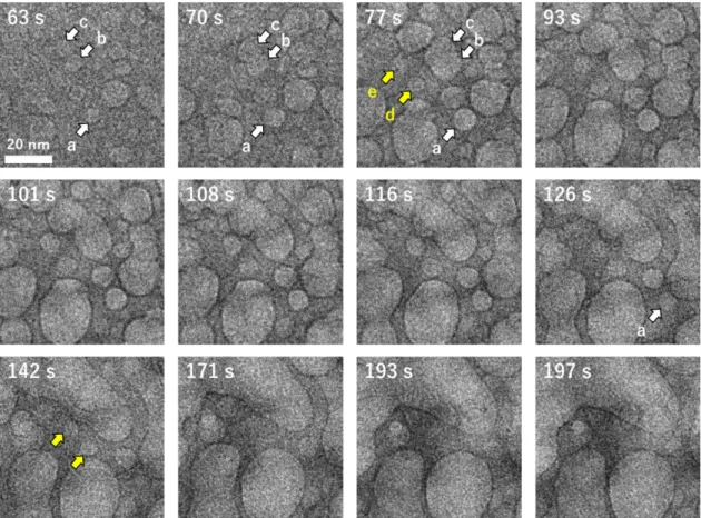 Figure 2.18 Time evolution of TEM images of disappearing nanobubbles on the surface of a bottom  window due to Ostwald ripening