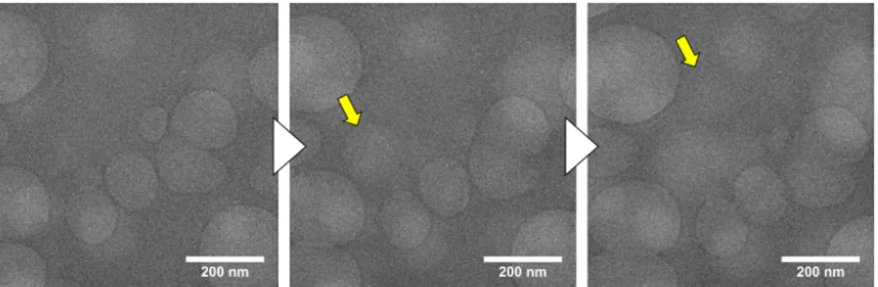 Figure  2.20  Time evolution of bubble generation and growth under 200 kV. The yellow arrows  indicate the new appearing bubbles