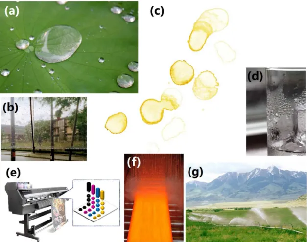 Figure 1.1  Various situations in which drops/droplets are present including rain drops  on (a) a lotus leaf and (b) an umbrella, (c) coffee-stain, (d) dew drops on a glass, (e) inkjet  printing, (f) cooling process of molten steel and (g) sprinkled pestic