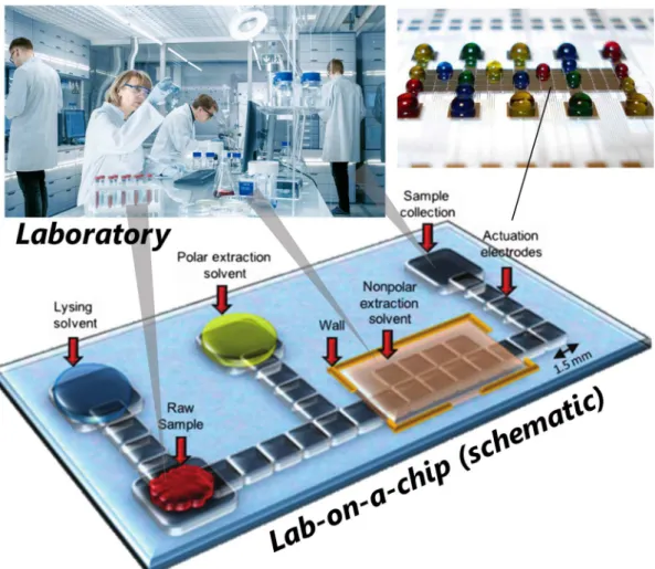 Figure 1.4  Pictorial concept of drop-based lab-on-a-chip devices. Schematic of the device  (bottom) and photograph of the actuation electrodes (up-right) are adapted from [23] 
