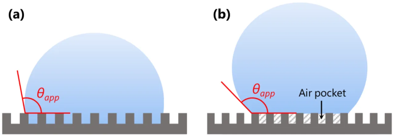 Figure  1.9    Schematic  models  of  two  different  wetting  states  on  rough  surfaces:  (a)  Wenzel and (b) Cassie-Baxter states