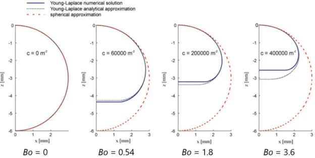 Figure  1.12    Half  drop  profiles  calculated  from  numerical  integration  of  the  Young- Young-Laplace equation, Eq