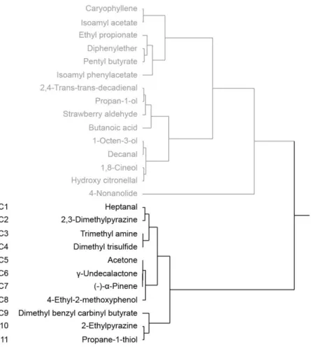Fig. 4. The Cluster analysis for classification of the correlation group. Among the 26  odorants (except for discrepant group odorants) showing the significance between pleasantness  and liking scores, the 11 odorants (C1–C11) was assigned to the correlati