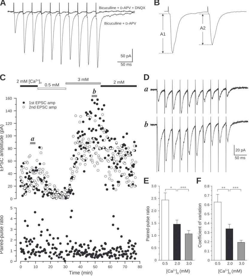 Figure 2.  Effects of DNQX and [Ca 2+ ] o  on evoked EPSCs (eEPSCs) recorded from layer V pyramidal neurons