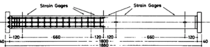 Table 　 l 　 Mechanical 　 properties 　 of 　 main 　reinferce 皿 en ヒ
