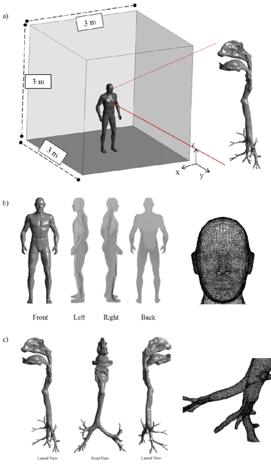 Figure 3-12 (a) CSP domain with the integrated respiratory tract b) geometry and mesh design  and (c) respiratory tract geometry and mesh design 