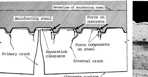 Fig. 11 Idealized diagram of cracks, force components and separation between               concrete and Teinforcing steel