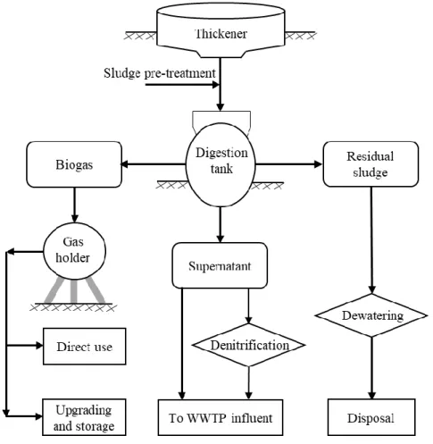 Figure 1.3 Sludge Management 