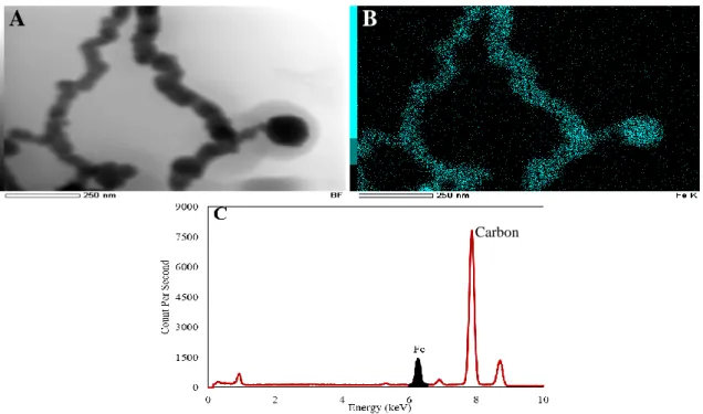 Figure 3.1 TEM HAADF images of the pure nZVI (A); (B) elemental map's observation of the  presence of Fe; (C) EDX analysis of the sample, allowing to characterize composition of nZVI