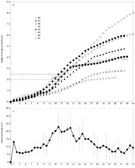 Fig. 2 Internode length variation from the stem base to the top. (a) Number of the internodes and the  internode  lengths  for  each  sample  tree
