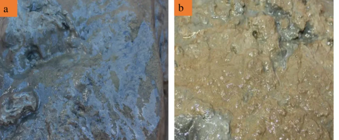 Fig. 1.2 Sediment surface changes from reductive (a) to oxidative (b) in fall and  winter due to the vertical mixing leading to aerobic conditions near the  bottom