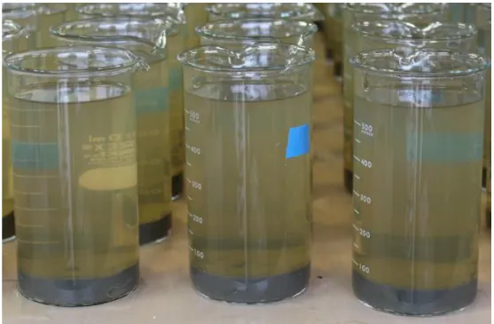 Fig. 3.2 Approximately 70 tall beakers of 500 mL for water quality monitoring near  the bottom sediment were prepared for each case.