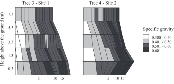 Fig. 3.4 Tree stem maps showing variations in growth ring width and specific gravity. Each  graph represents one tree from each site
