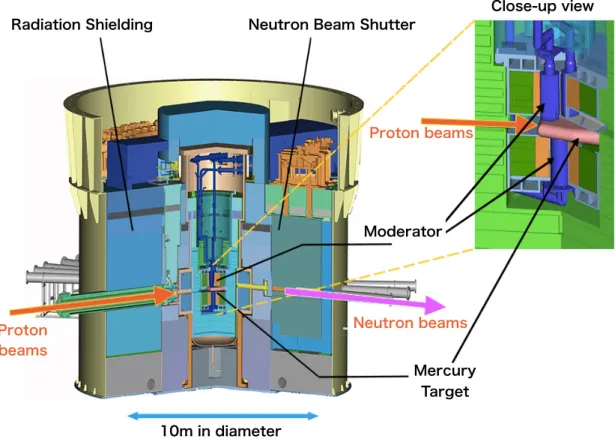 Figure 2.4: Neutron source at the MLF. The mercury target is placed closest to the neutron source, and it is surrounded by three kinds of moderators