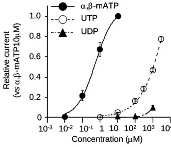 図 3  α, β - methylene ATP と UTP の 作用 